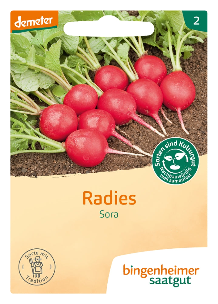 Radies