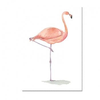 Flamingo - Postkarte