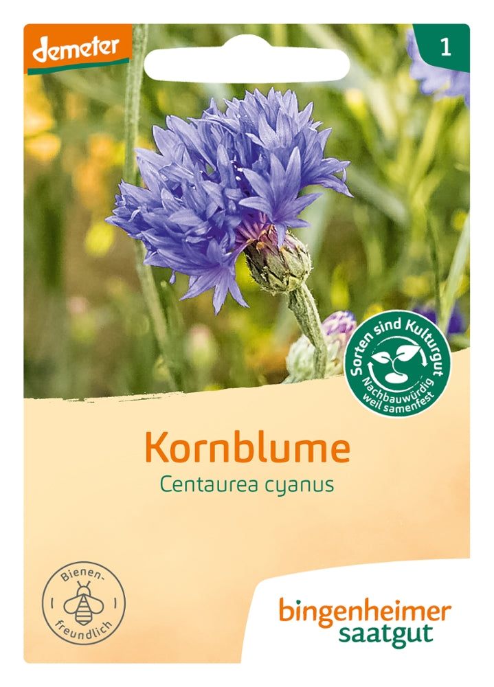 Kornblume