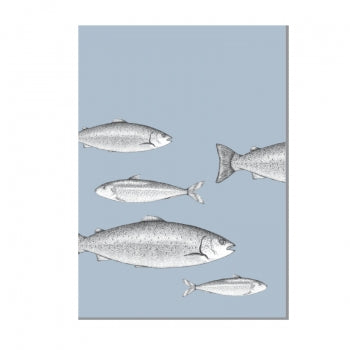 Fischschwarm blau - Postkarte