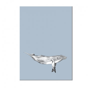 Wal blau - Postkarte