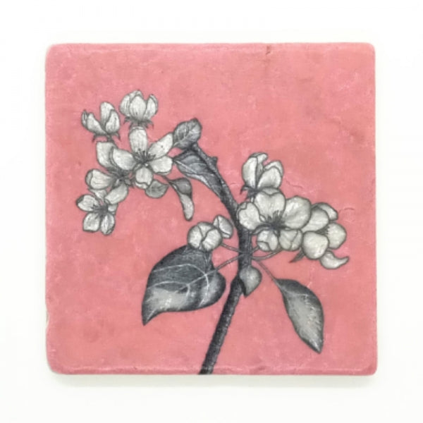 Apfelblüte - Fliese
