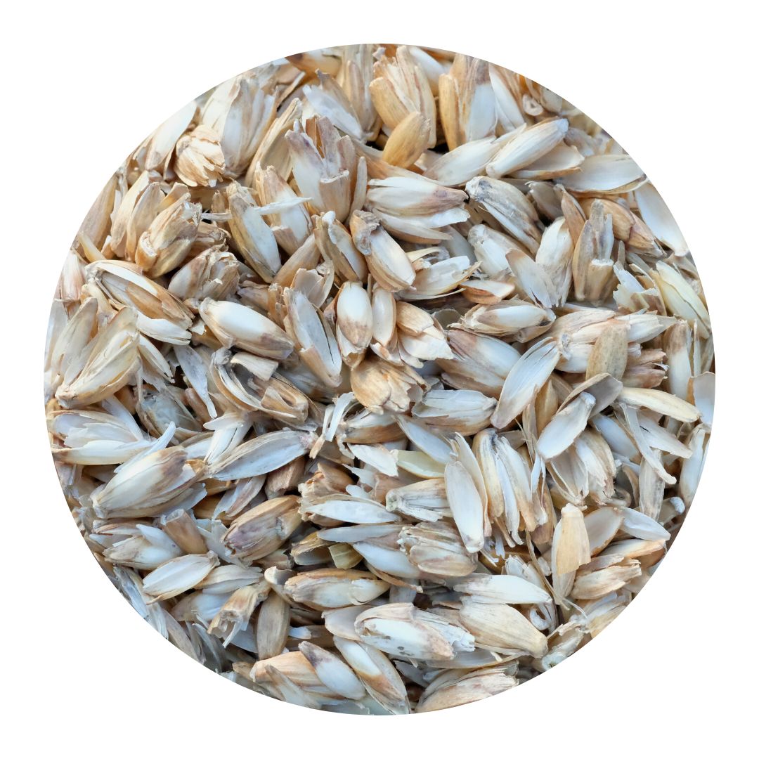 Dinkelspelz - Bio-Kissenfüllung (1,5 kg)