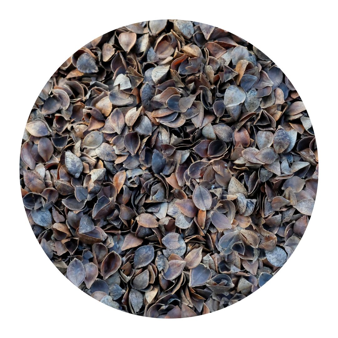 Buchweizenschalen - Bio-Kissenfüllung (3 kg)