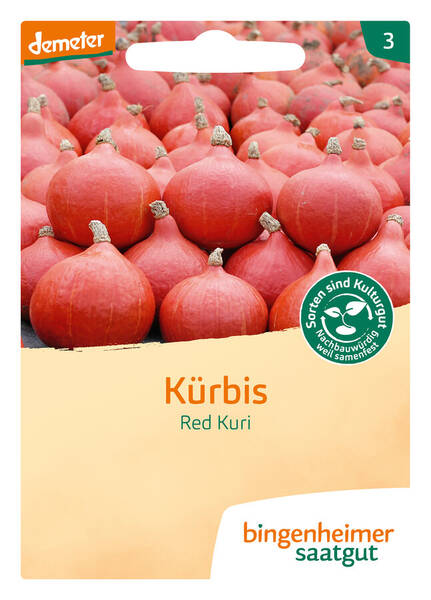 Kürbis Red Kuri