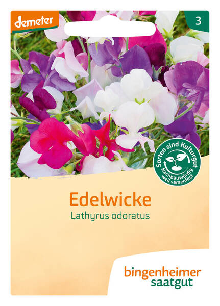 Edelwicke - Saatgut