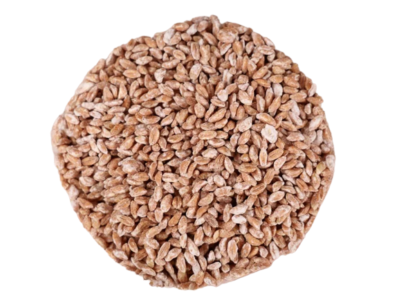 Emmer Koji (400 g)