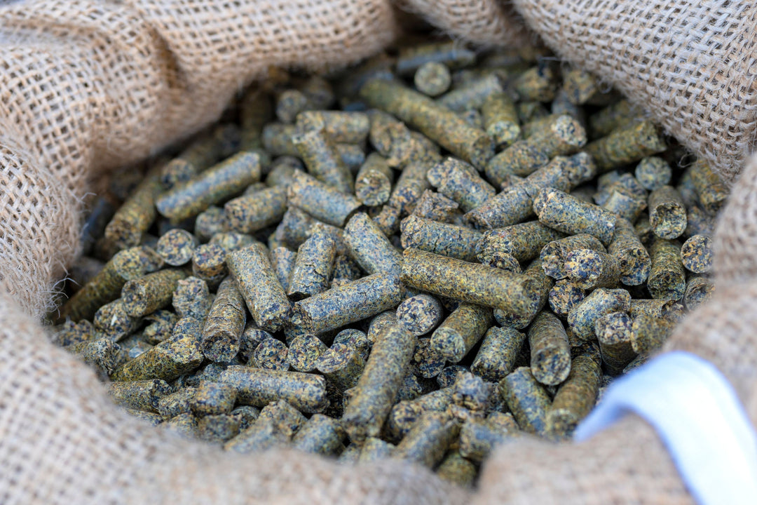 Hanf-Pellets (3 kg)