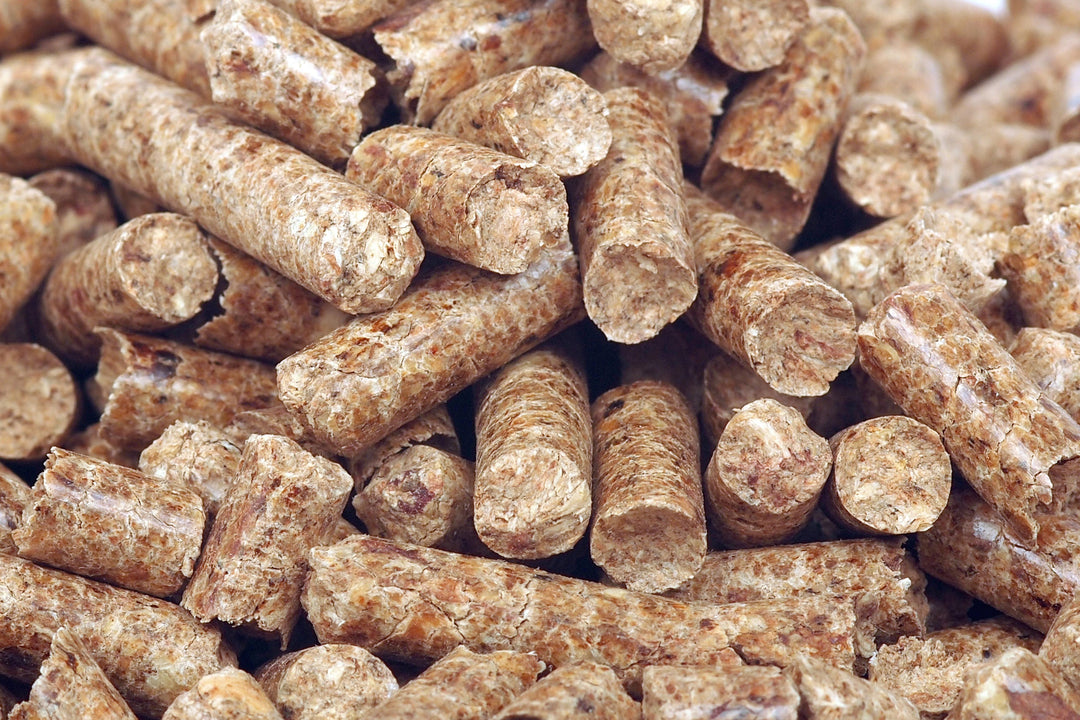 Leindotter-Pellets (3 kg)