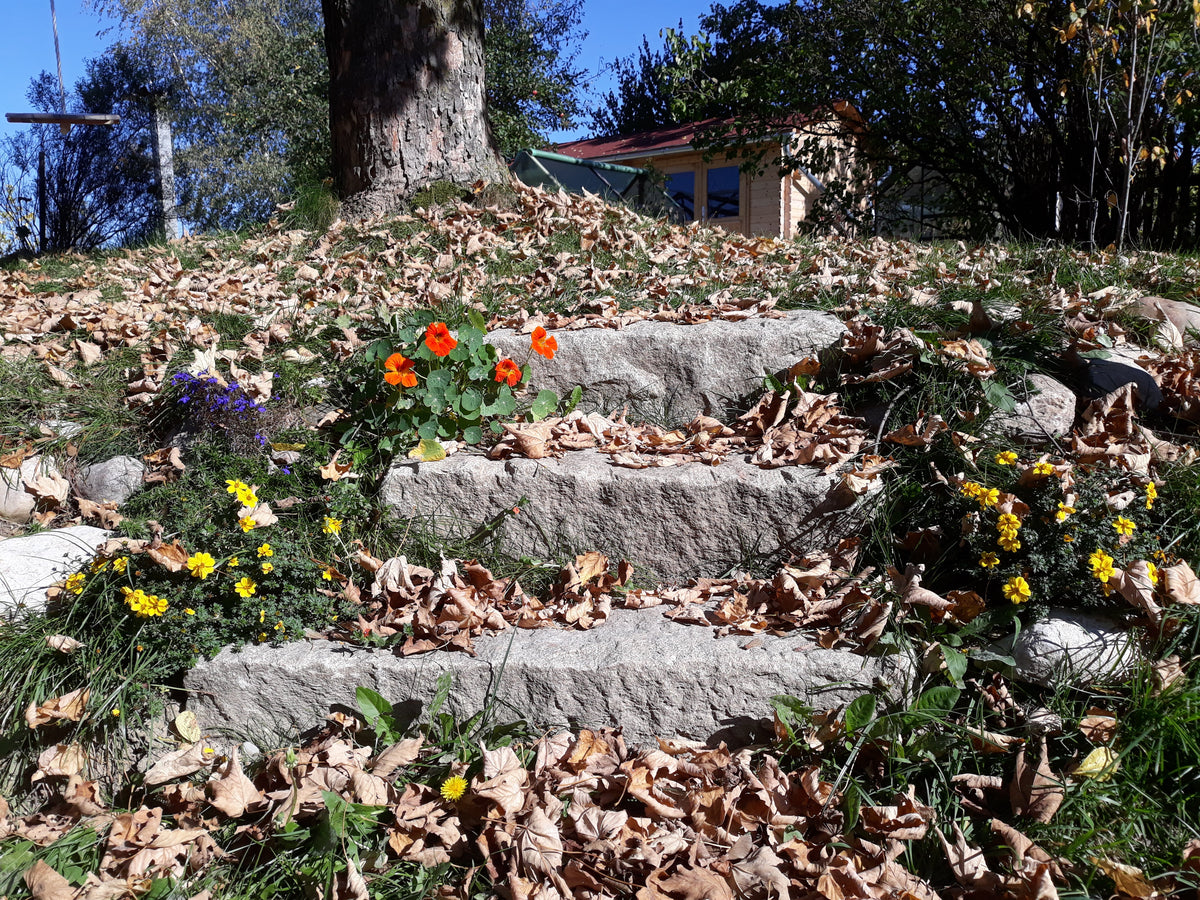 Herbst