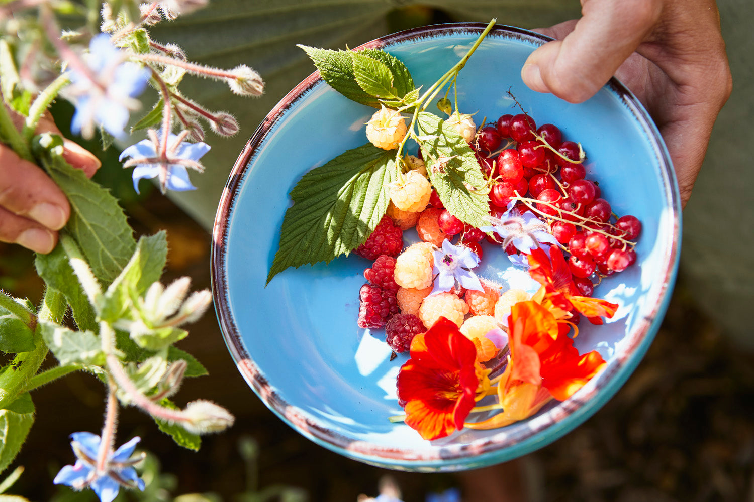 Sommer