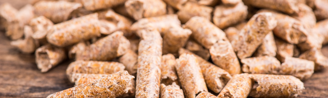 Mehrere Ölsaaten-Pellets auf Holz Untergrund