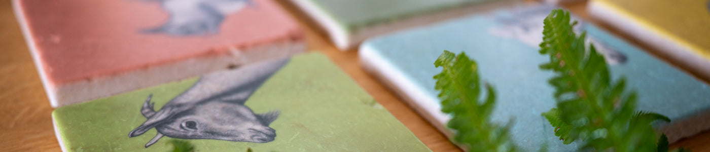 Mehrere geschnittene Holzscheiben