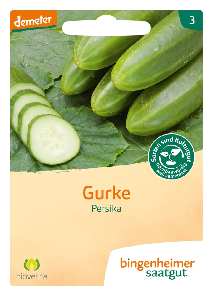 Gurke Freiland - Saatgut