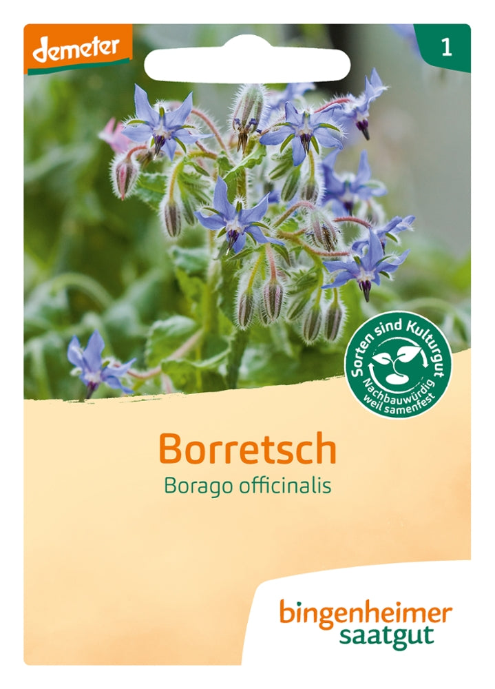 Borretsch - Saatgut