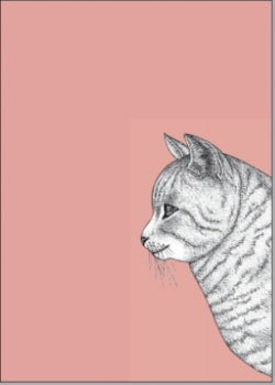 Katze coral - Postkarte