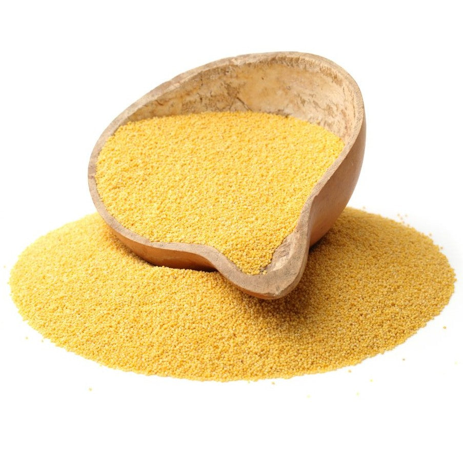Goldhirse ganz in verschiedenen Größen