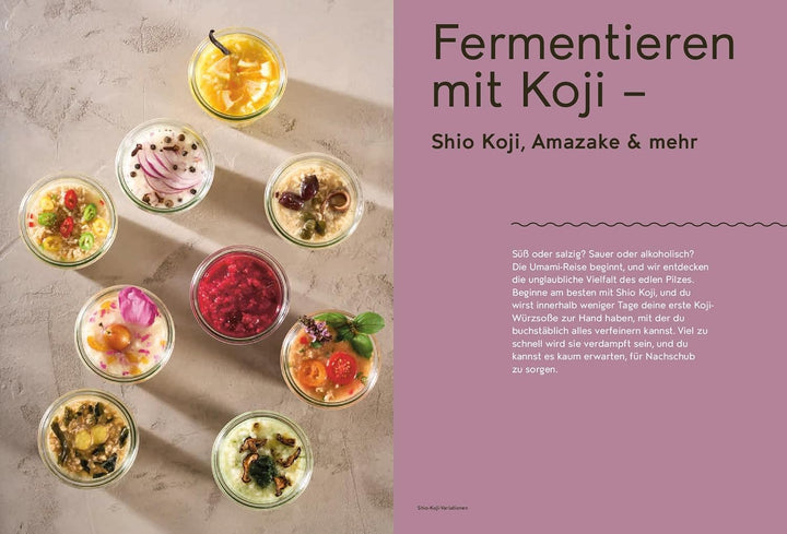 Koji Miso Shoyu Tempeh - Kochbuch