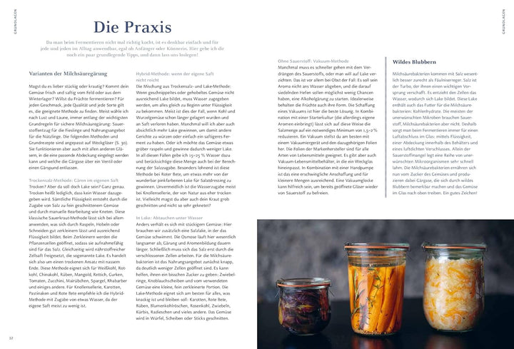 Gemüse und Obst einfach fermentieren - Kochbuch