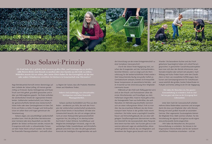 Gemüse und Obst einfach fermentieren - Kochbuch