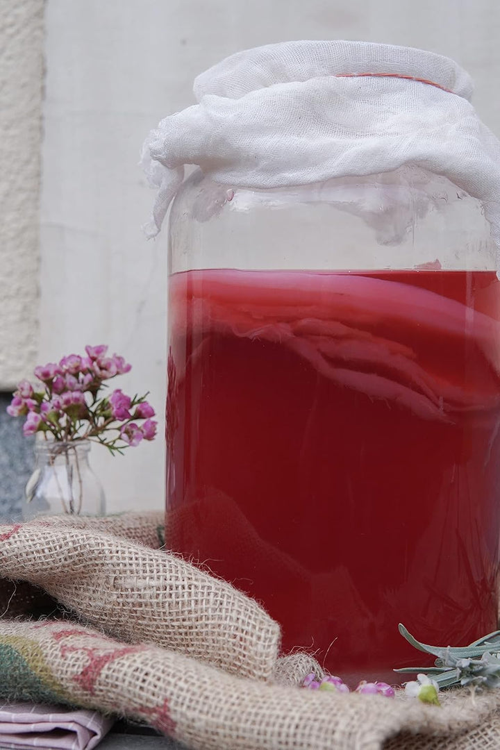 Die neue traditionelle Ernährung - GRUNDLAGEN - Kochbuch