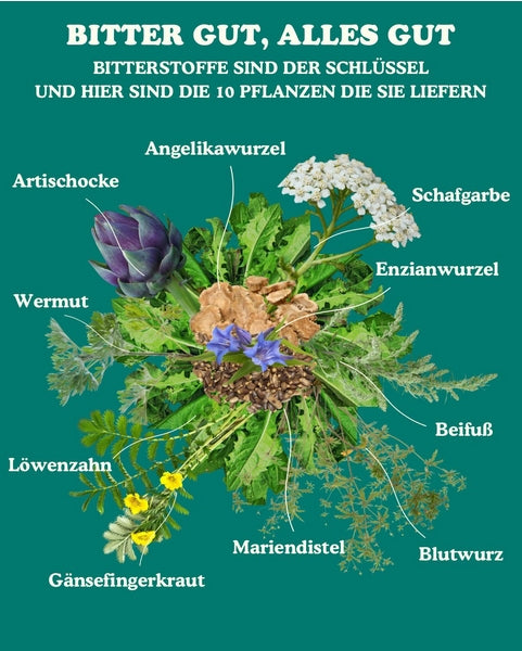 Bitter Bite - Kräutertropfen alkoholfrei (50 ml)