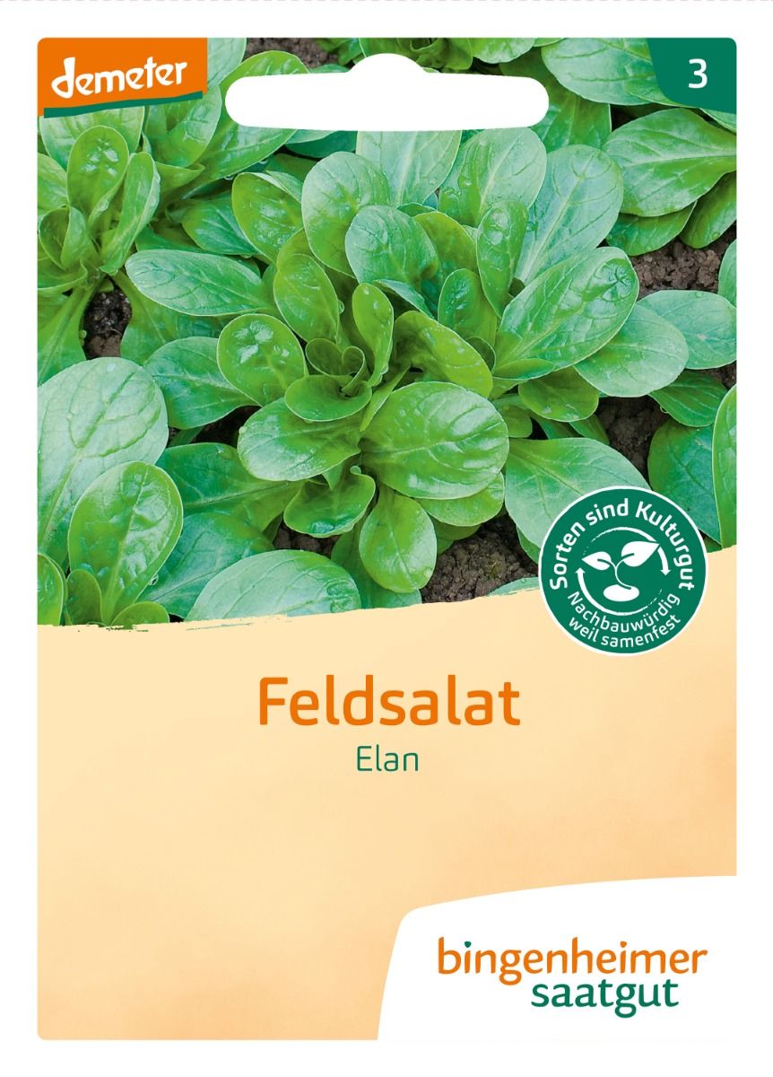 Feldsalat Elan - Saatgut
