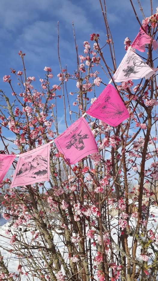 Allgäuer Gebetsfähnchen in verschiedenen Ausführungen