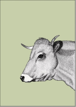 Kuh grün - Postkarte
