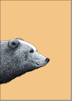 Bär ocker - Postkarte