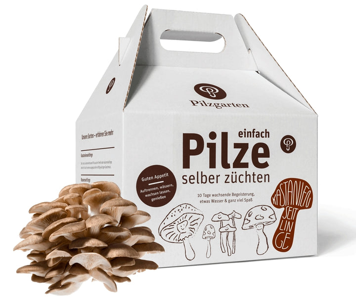 Pilzzuchtset verschiedene Sorten