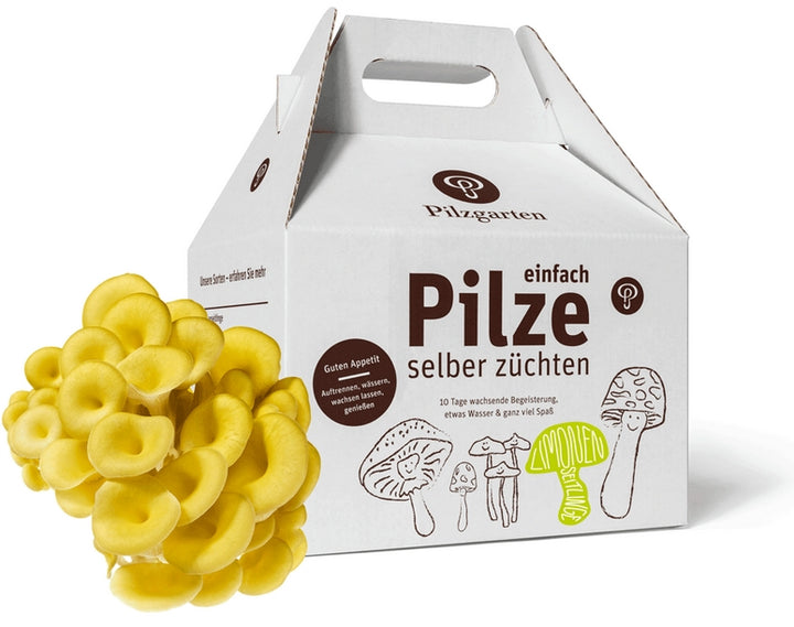 Pilzzuchtset verschiedene Sorten