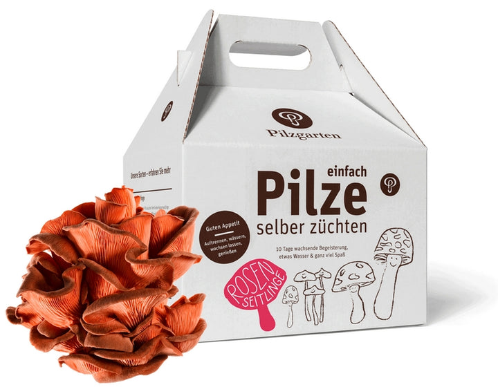 Pilzzuchtset verschiedene Sorten