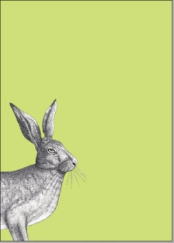 Hase - Postkarte