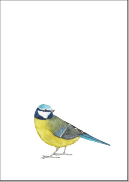 Blaumeise - Klappkarte mit Kuvert