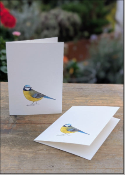 Blaumeise - Klappkarte mit Kuvert