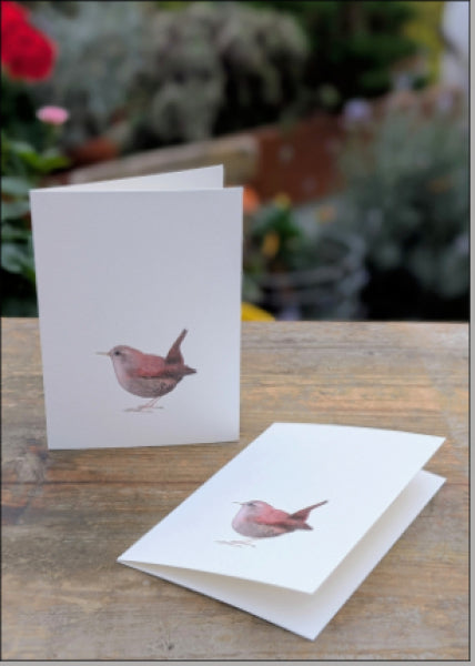 Zaunkönig - Klappkarte mit Kuvert