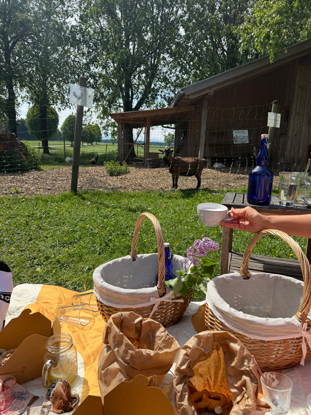Picknick für 2 - gemeinsamer Brunch am Hof: Freitag, 04.09.2026