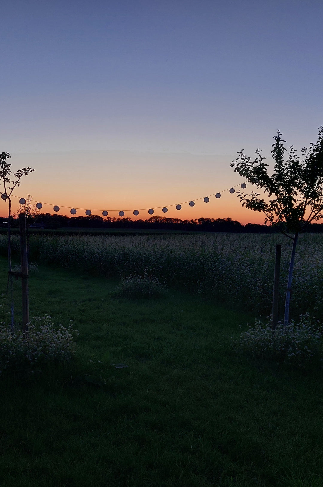 Picknick für 2 - gemeinsame Genusszeit am Abend: Dienstag, 11.08.2026