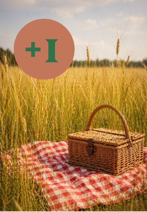Picknick - Korb für 1 zusätzliche Person am Abend: Dienstag, 11.08.2026